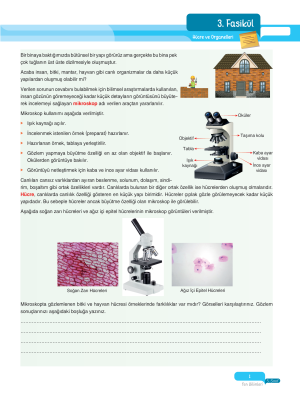 2025 - 5. Sınıf Fen Bilimleri Fasikülleri - 3 - ULTİ YAYINLARI