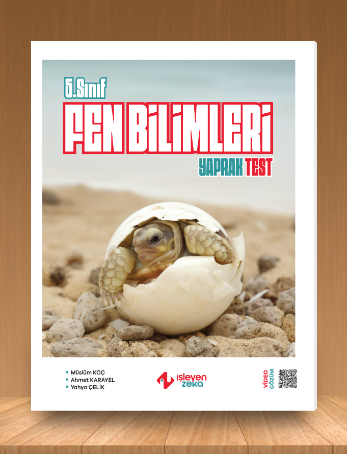 5.SINIF FEN BİLİMLERİ YAPRAK TEST - İZ- 2025-26