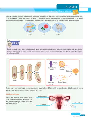2025 - 7. Sınıf Fen Bilimleri Fasikülleri - 6 - ULTİ YAYINLARI