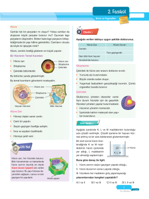 2025 - 7. Sınıf Fen Bilimleri Fasikülleri - 2 - ULTİ YAYINLARI