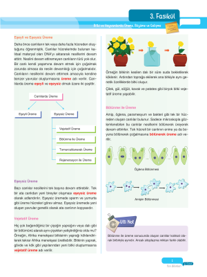 2025 - 6. Sınıf Fen Bilimleri Fasikülleri - 3 - ULTİ YAYINLARI