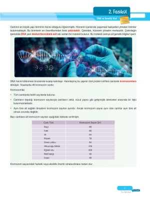 2025 - 8. Sınıf Fen Bilimleri Fasikülleri - 2 - ULTİ YAYINLARI