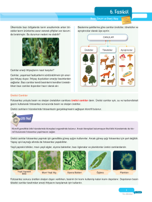 2025 - 8. Sınıf Fen Bilimleri Fasikülleri - 6 - ULTİ YAYINLARI