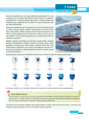 2025 - 5. Sınıf Fen Bilimleri Fasikülleri - 5 - ULTİ YAYINLARI
