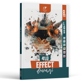BEYİN TAKIMI - 8.SINIF 4LÜ EFFECT DENEMESİ