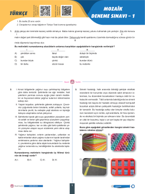 8. Sınıf Tüm Dersler 7li Deneme - MOZAIK
